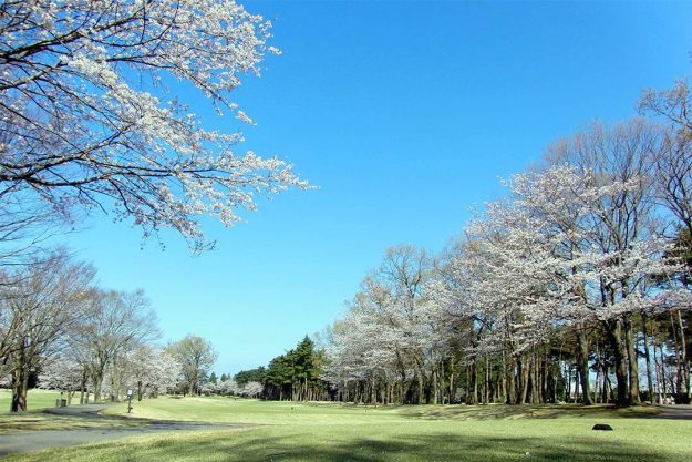 The Golf Club Ryugasaki