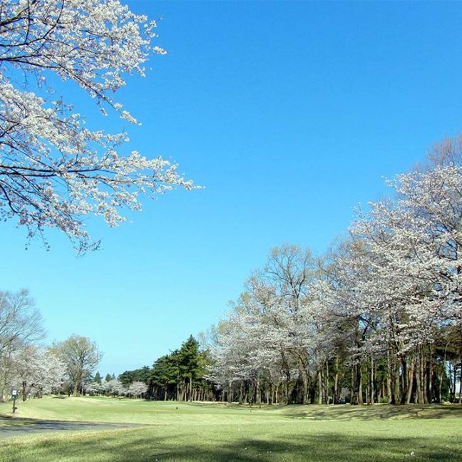The Golf Club Ryugasaki